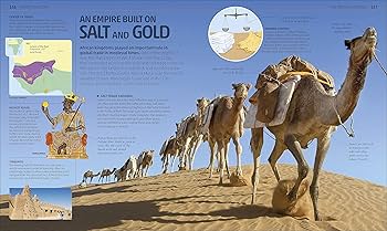 HISTORY★D-PACKER★トラベル★リゾネーター★ヒストリー Amazon.com: American History: A Survey, 13th Edition (NASTA